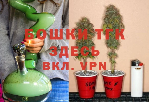 ешки Алексин