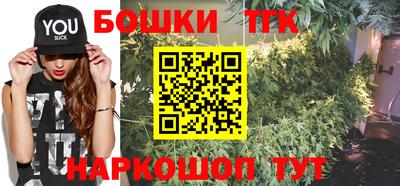 спиды Камышлов