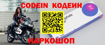 спиды Камышлов