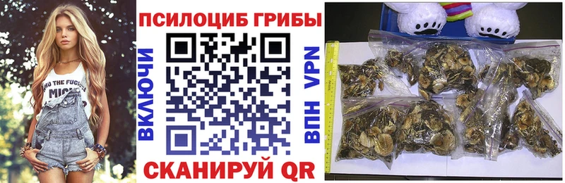 Псилоцибиновые грибы Psilocybine cubensis  цены   Советский 